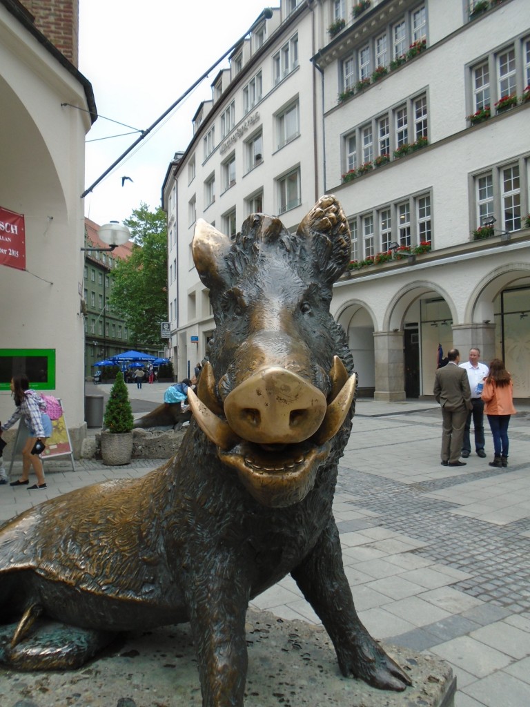 boar