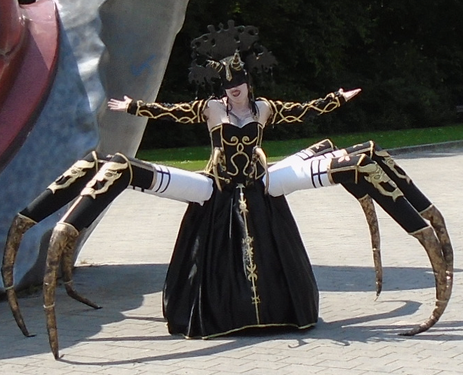 spider 3