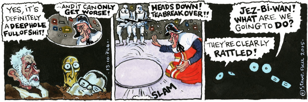 Steve Bell If